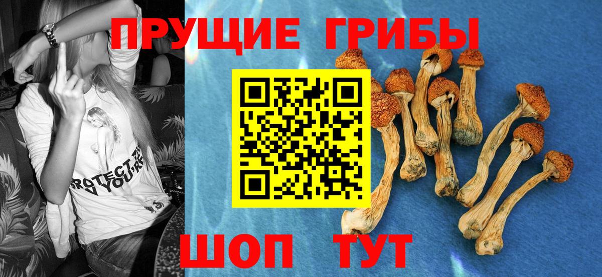 Галлюциногенные грибы MAGIC MUSHROOMS Россия