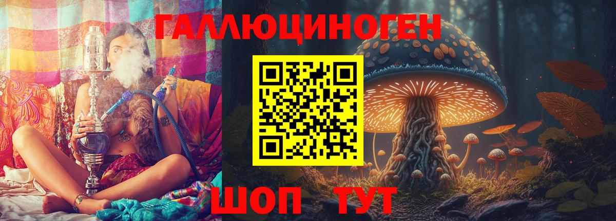 Россия  Псилоцибиновые грибы ЛСД  Вход с VPN 